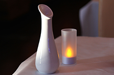 Wasabi Japanese Grill & Bar Menus